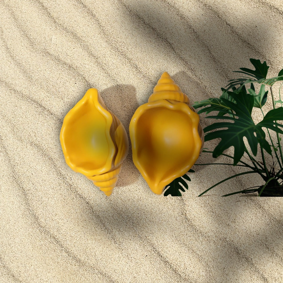 Coquillage_Or