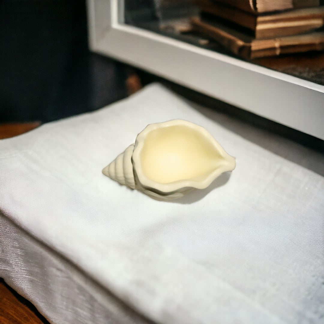Coquillage escargot jaune